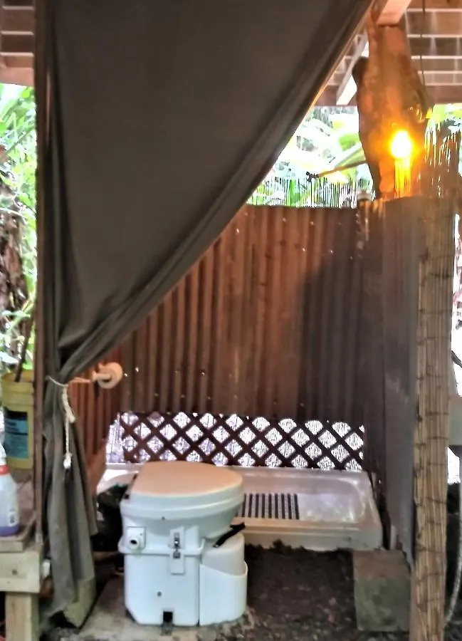 キャンプ場 ホテル Ruth'S Jungle Hut サン・ヘルマン