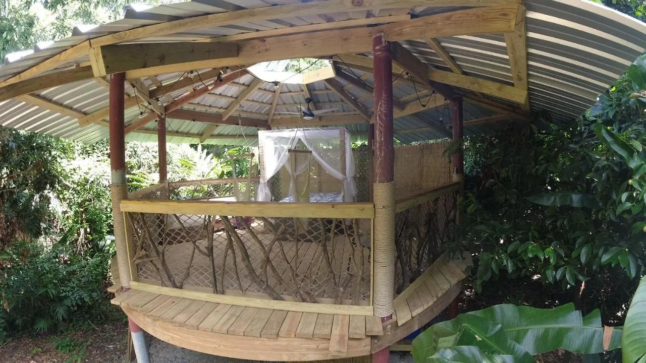 ホテル Ruth'S Jungle Hut サン・ヘルマン プエルトリコ